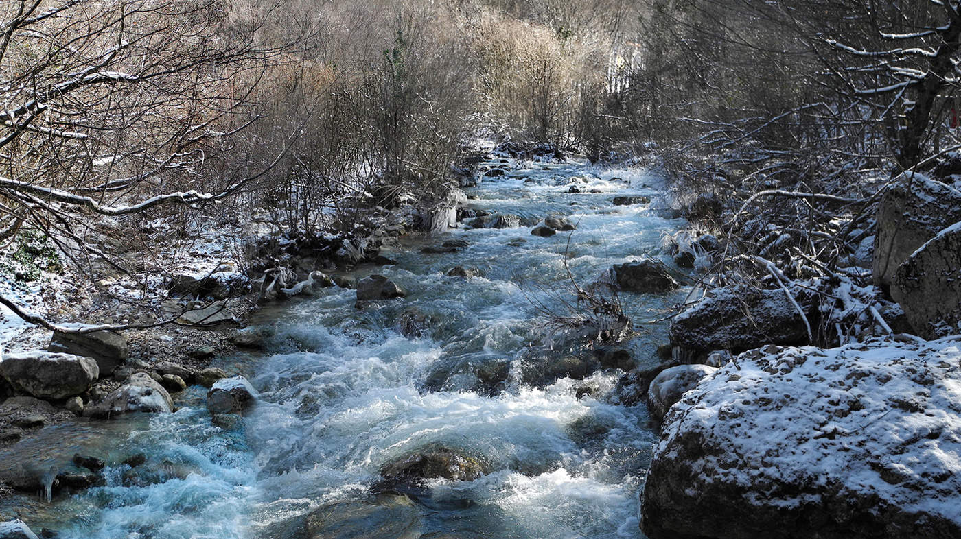 Февральские окна