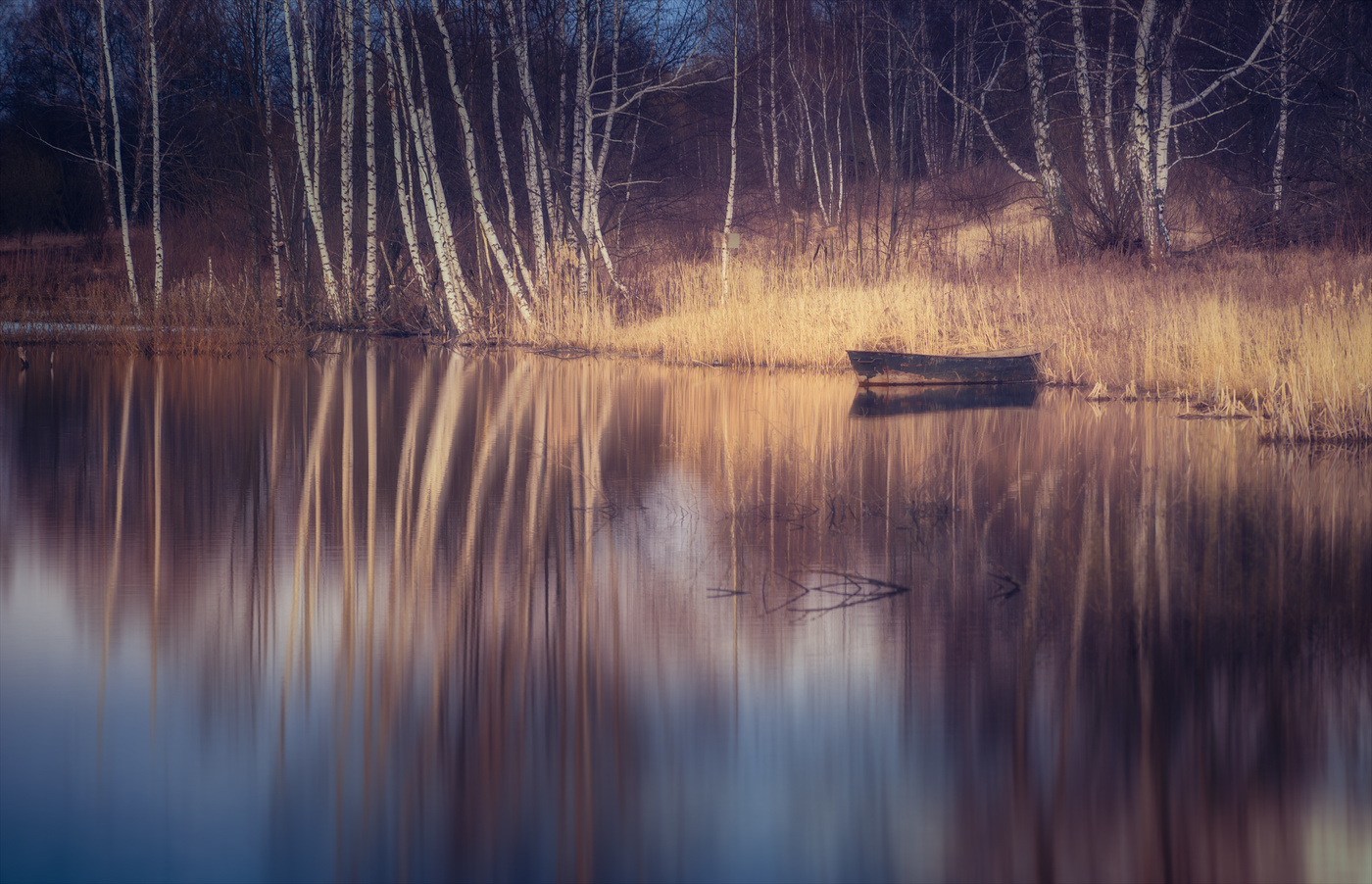 Холодная весна 20-ого...