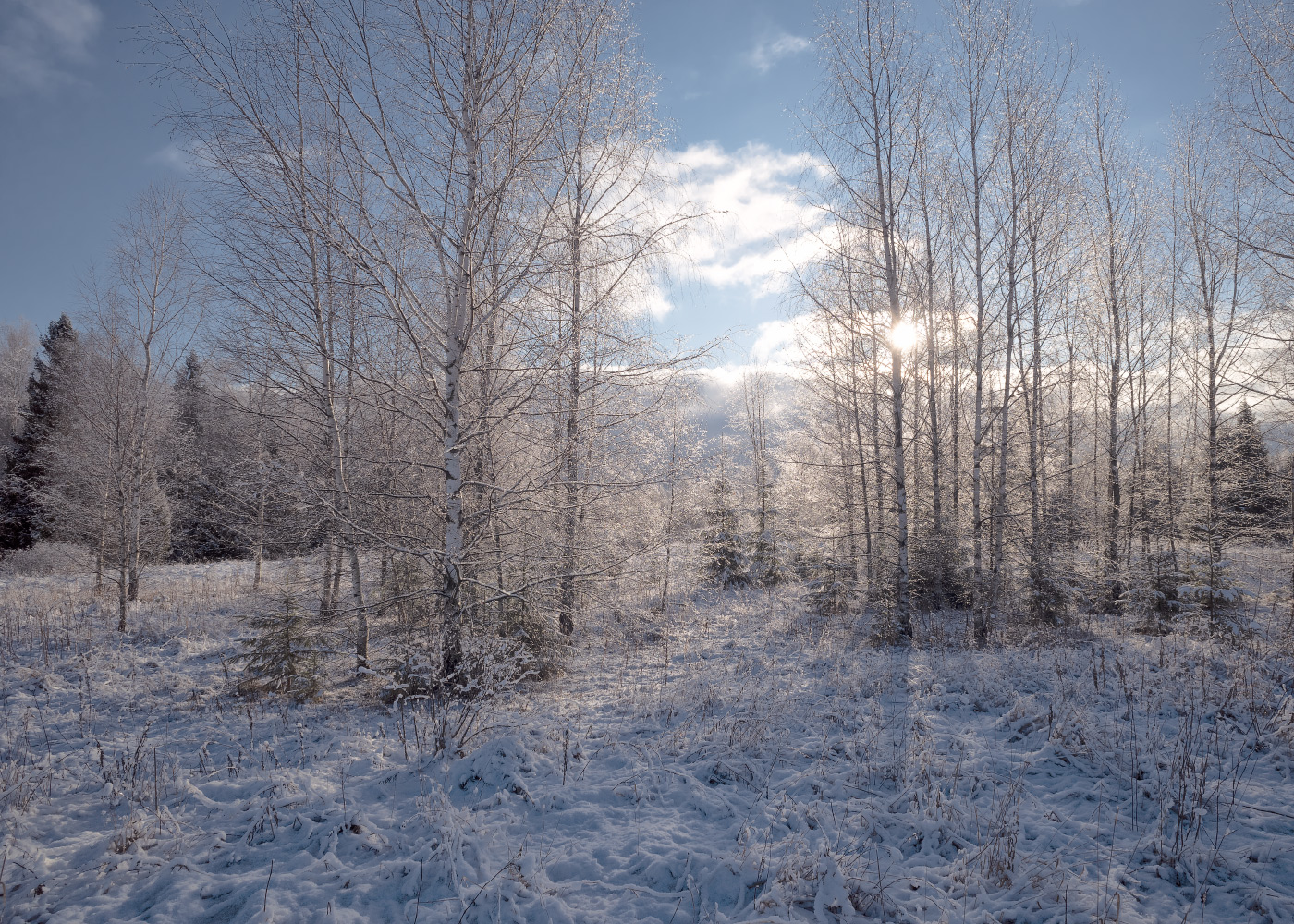 апрельское утро