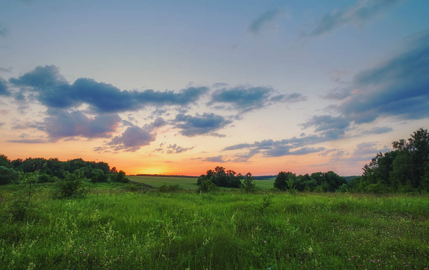 Родные просторы