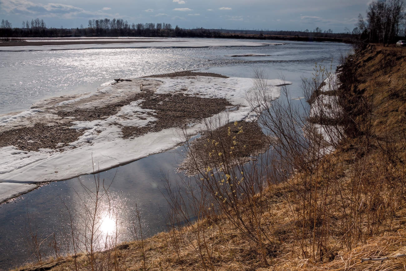 Ока весенняя (4)