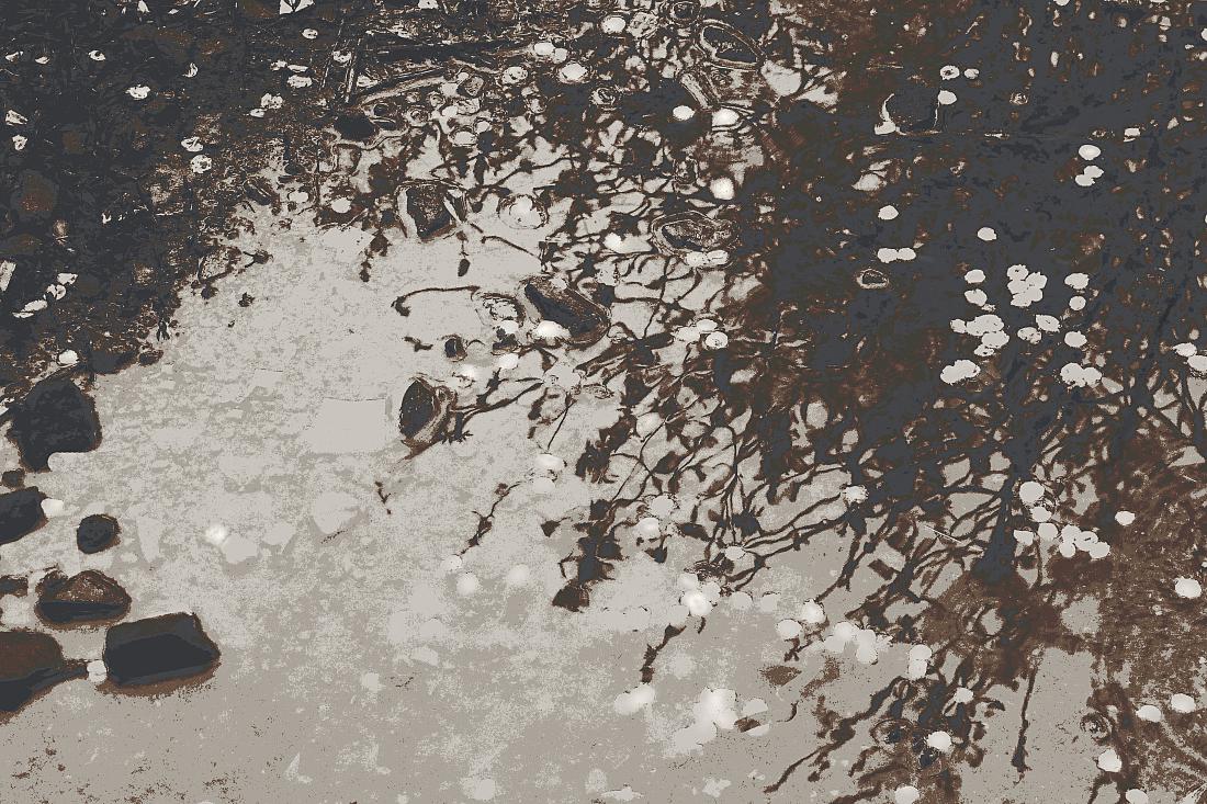 лепестки по воде