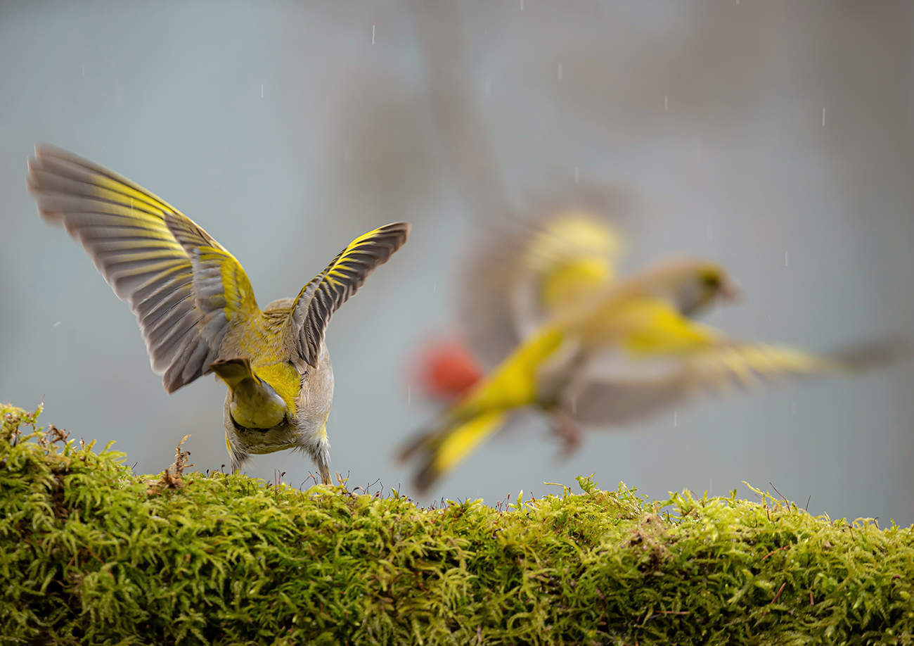 "...давай до свиданья..."