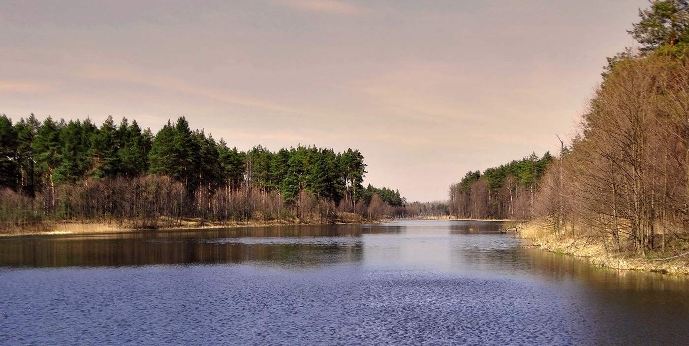 В апреле на озере Старое