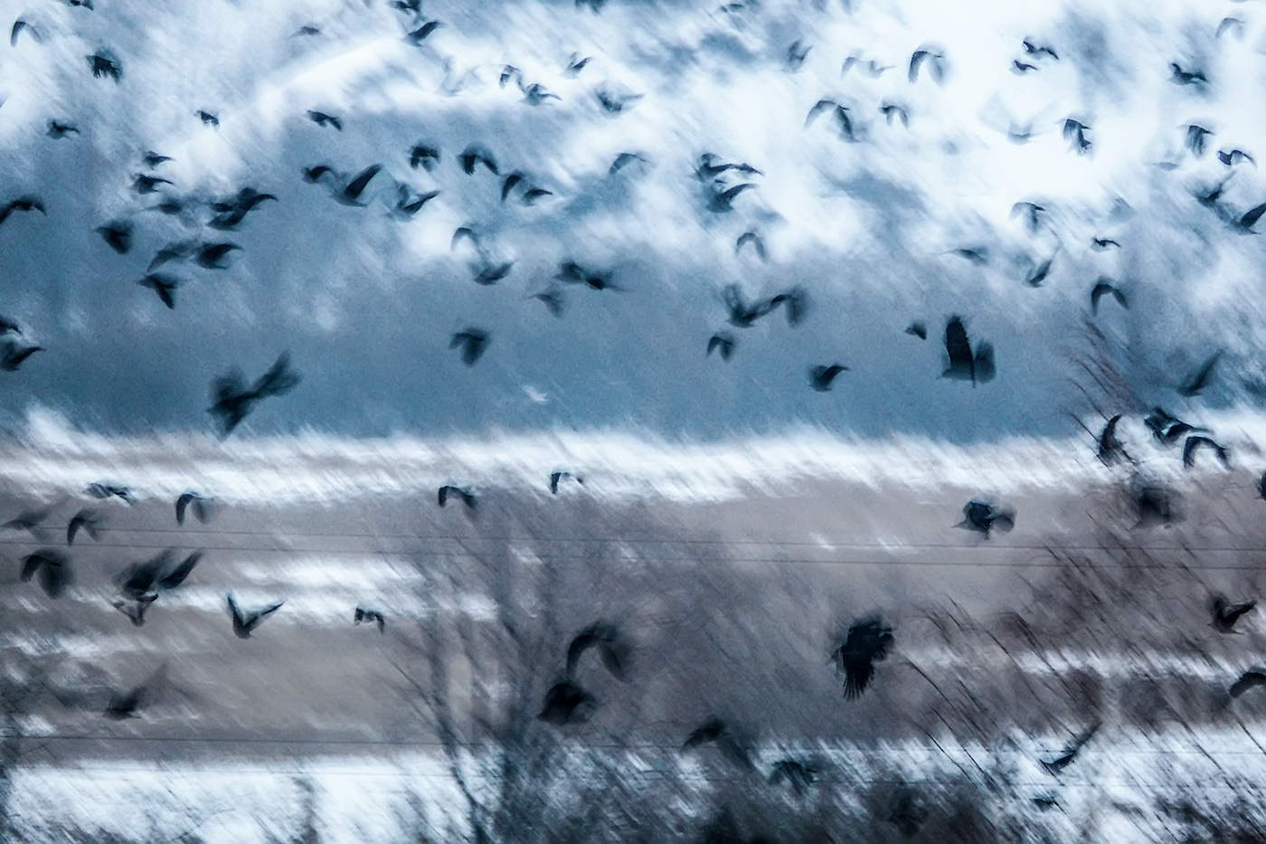 Прилетели...