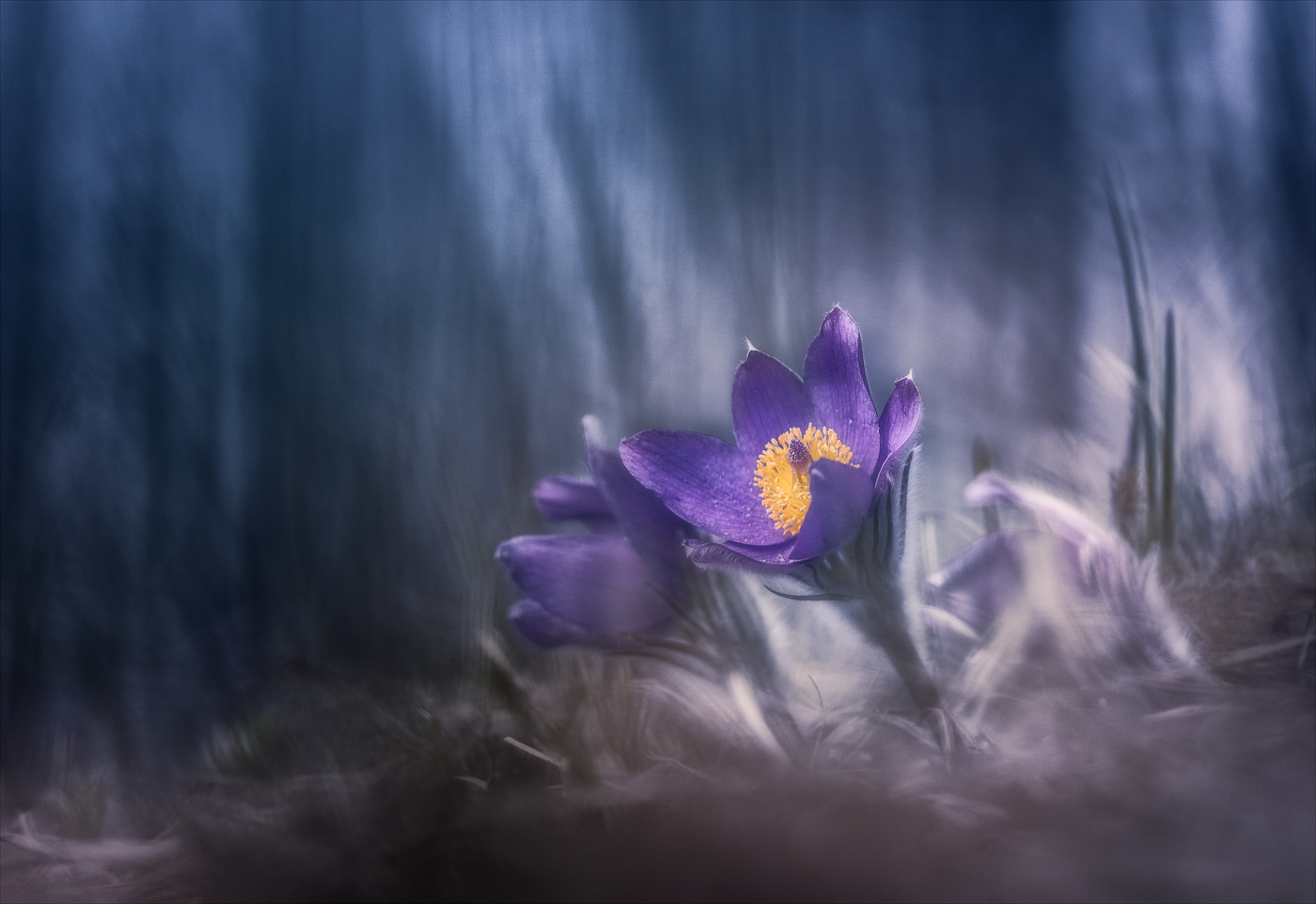 Тревожное...