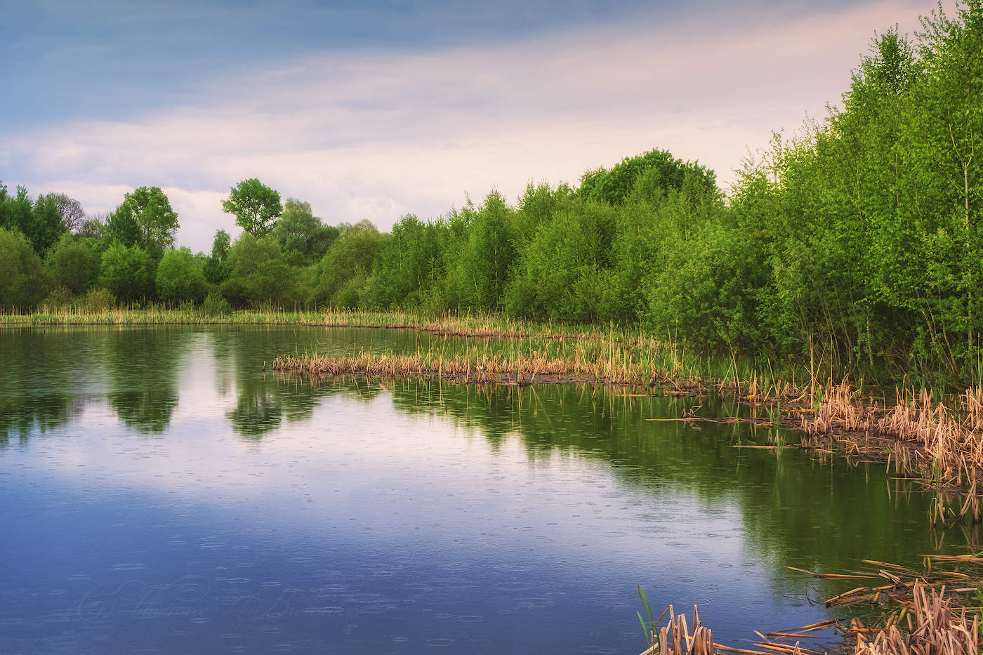 Весенний дождь