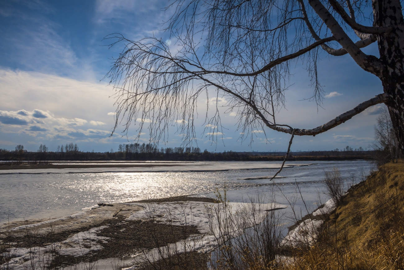 Ока весенняя (6)