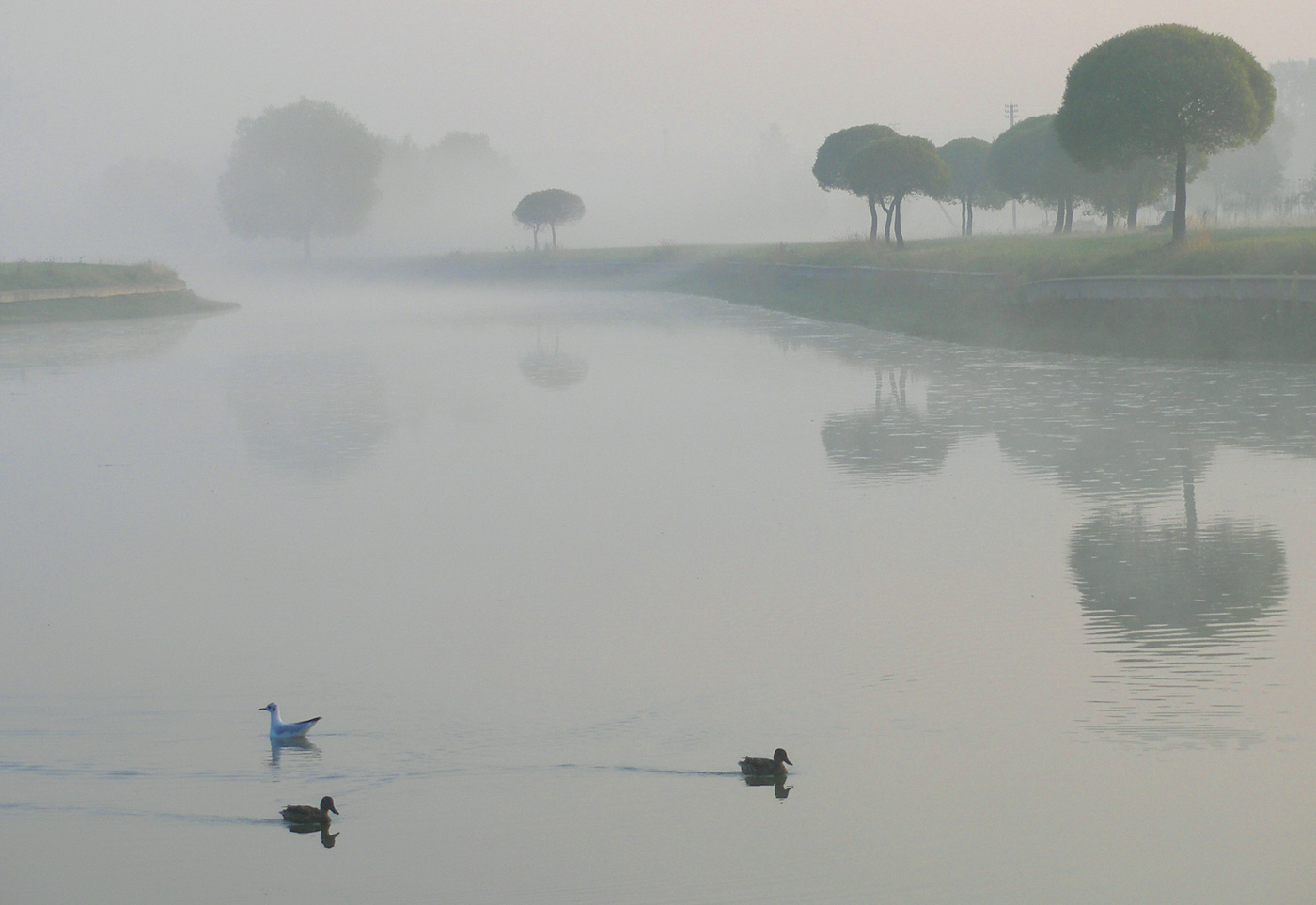 Утренняя тишина