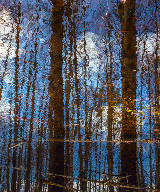 Тридевятое царство