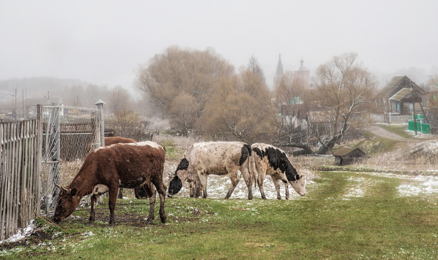 Вчерашнее утро в селе Верхне-Троицкий