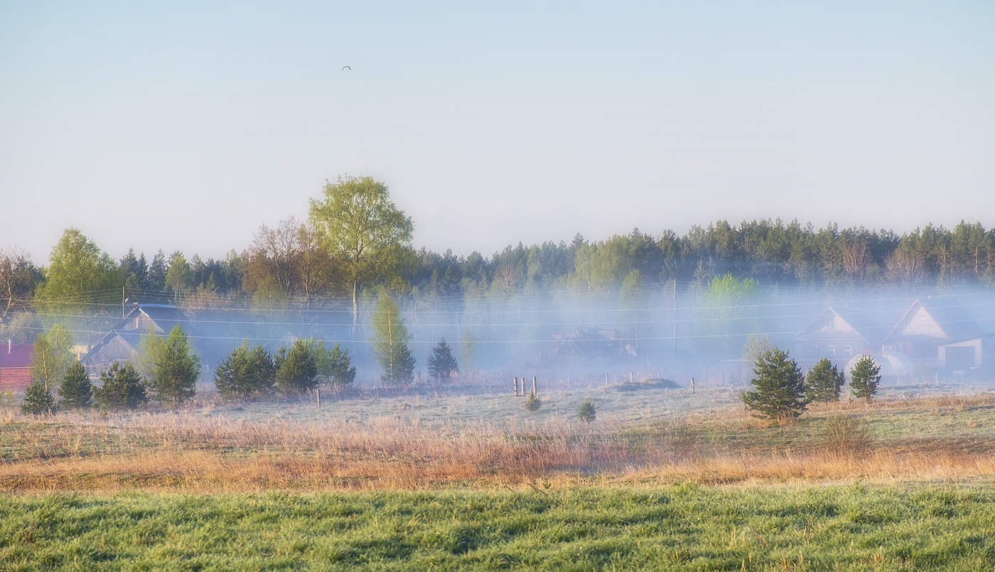 Ранним утром в деревне