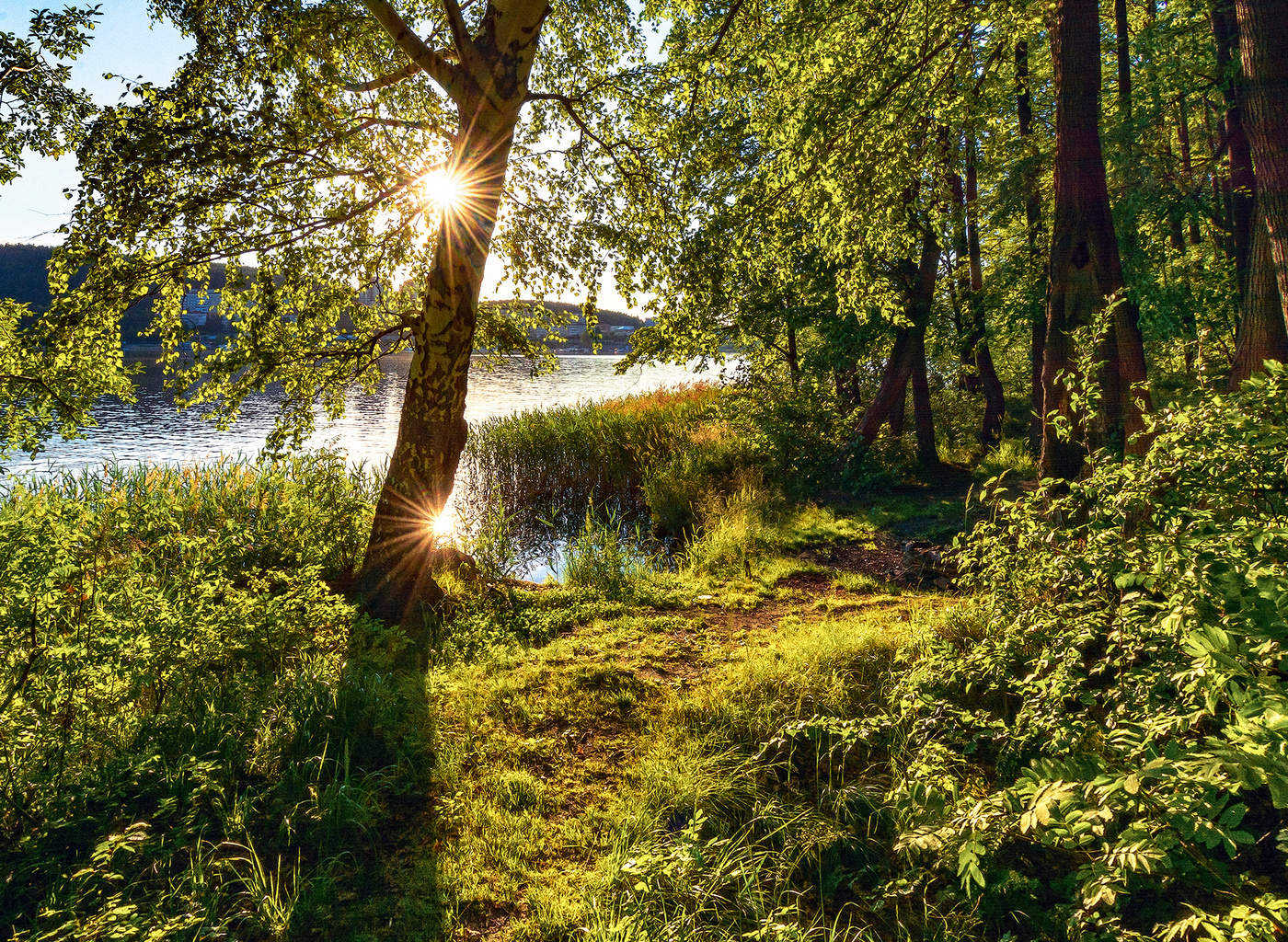 Двойное солнце