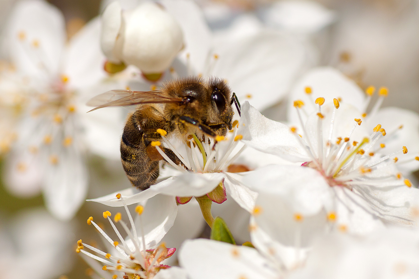 Горячая пора