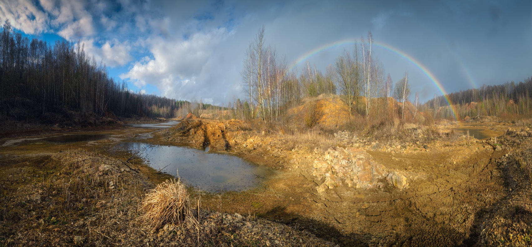 Щепиловские пустоши. Апрель после дождя.