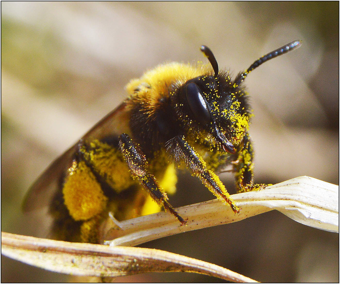 Завтра снова прохладно.