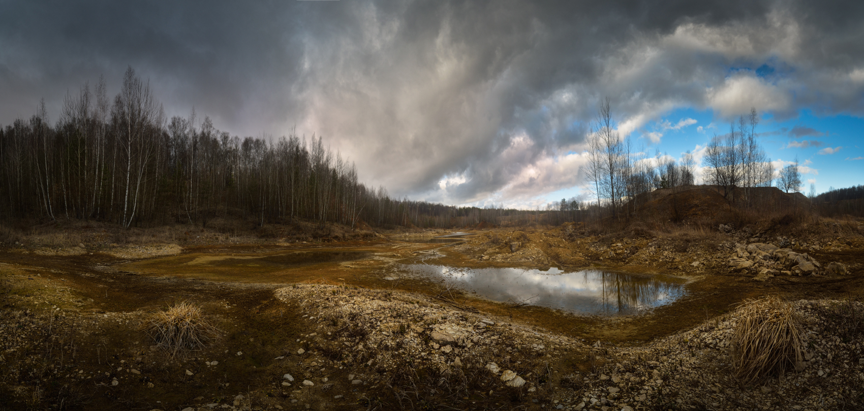 Щепиловские пустоши. Апрель перед дождем.