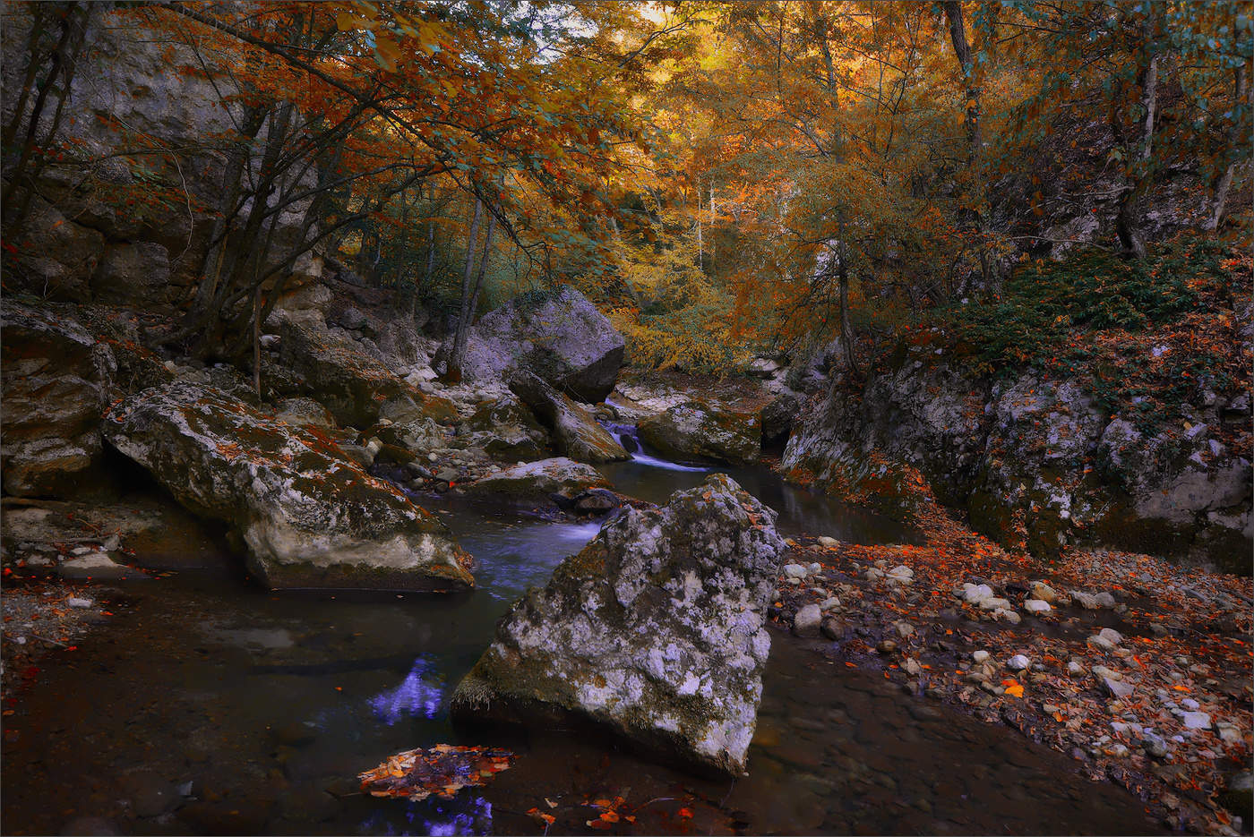 Осенние раскраски.