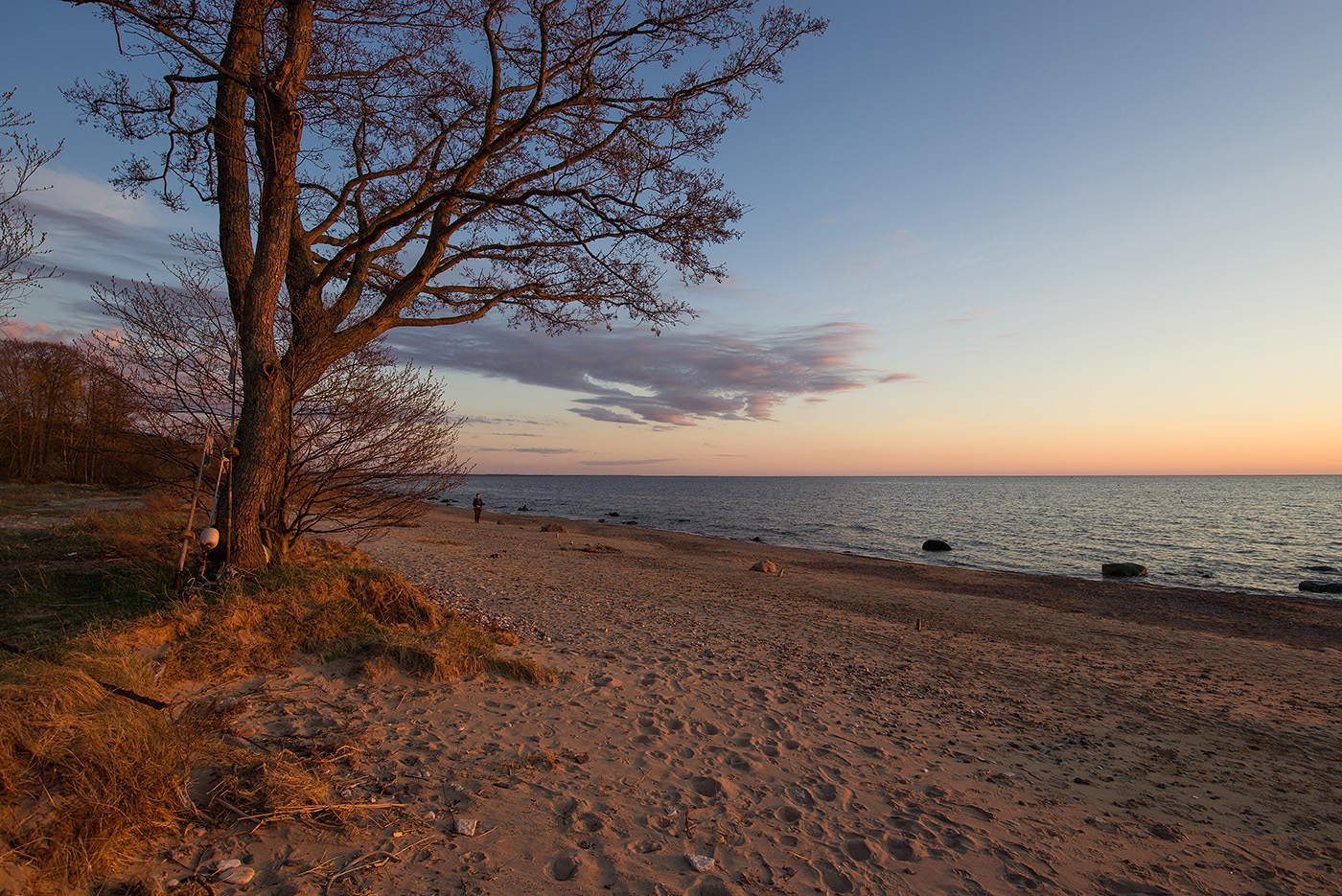 Вечерний променад