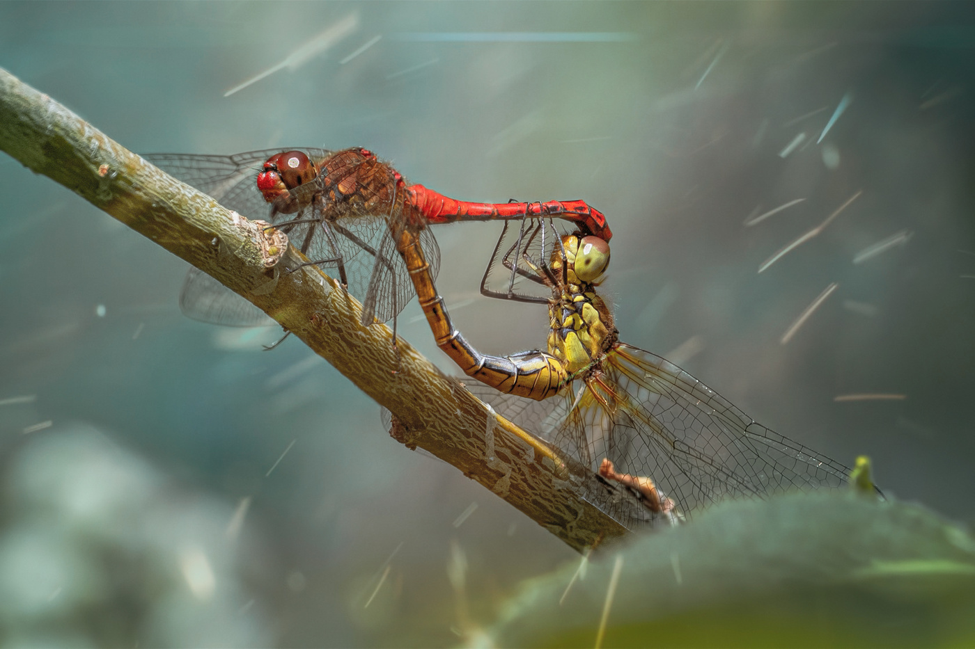 Кама с утра..)