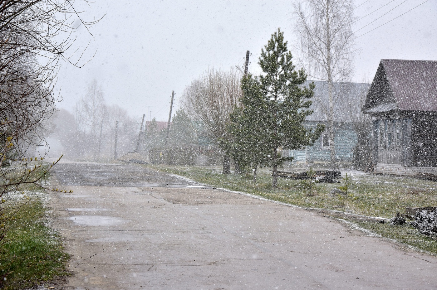 Каждая погода благодать....