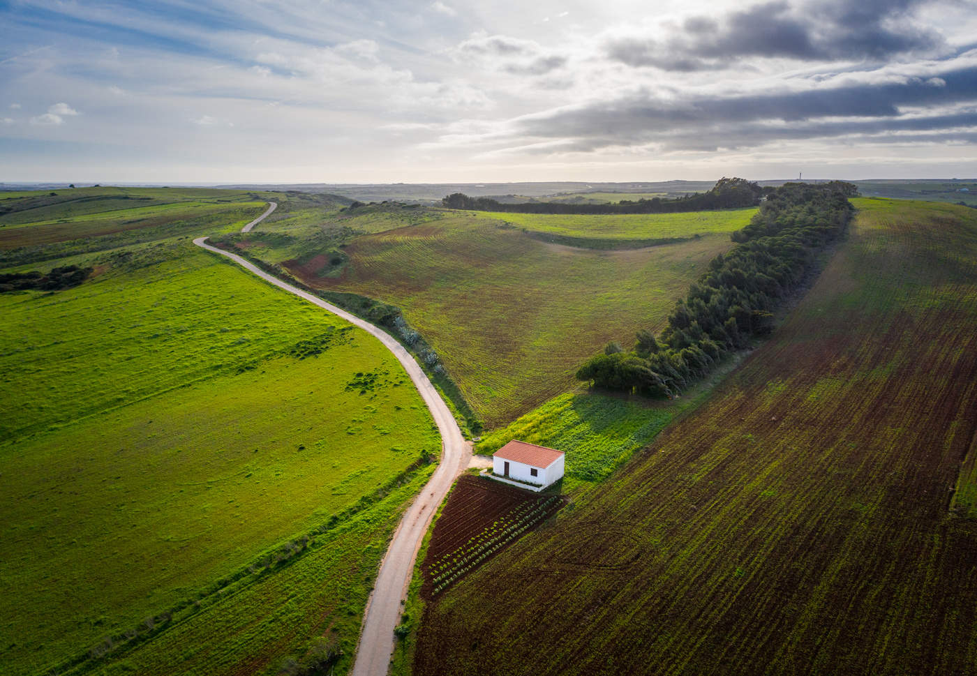 Одинокий дом