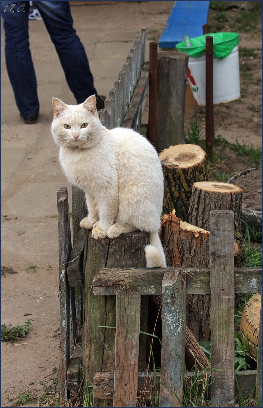 у каждого своя весна...