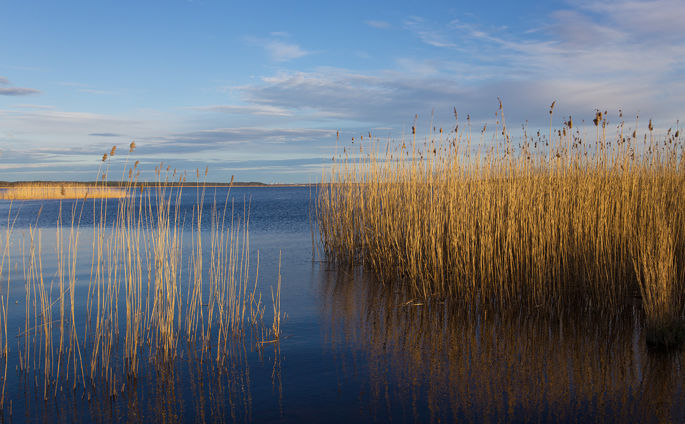 Желтые пятна на синем