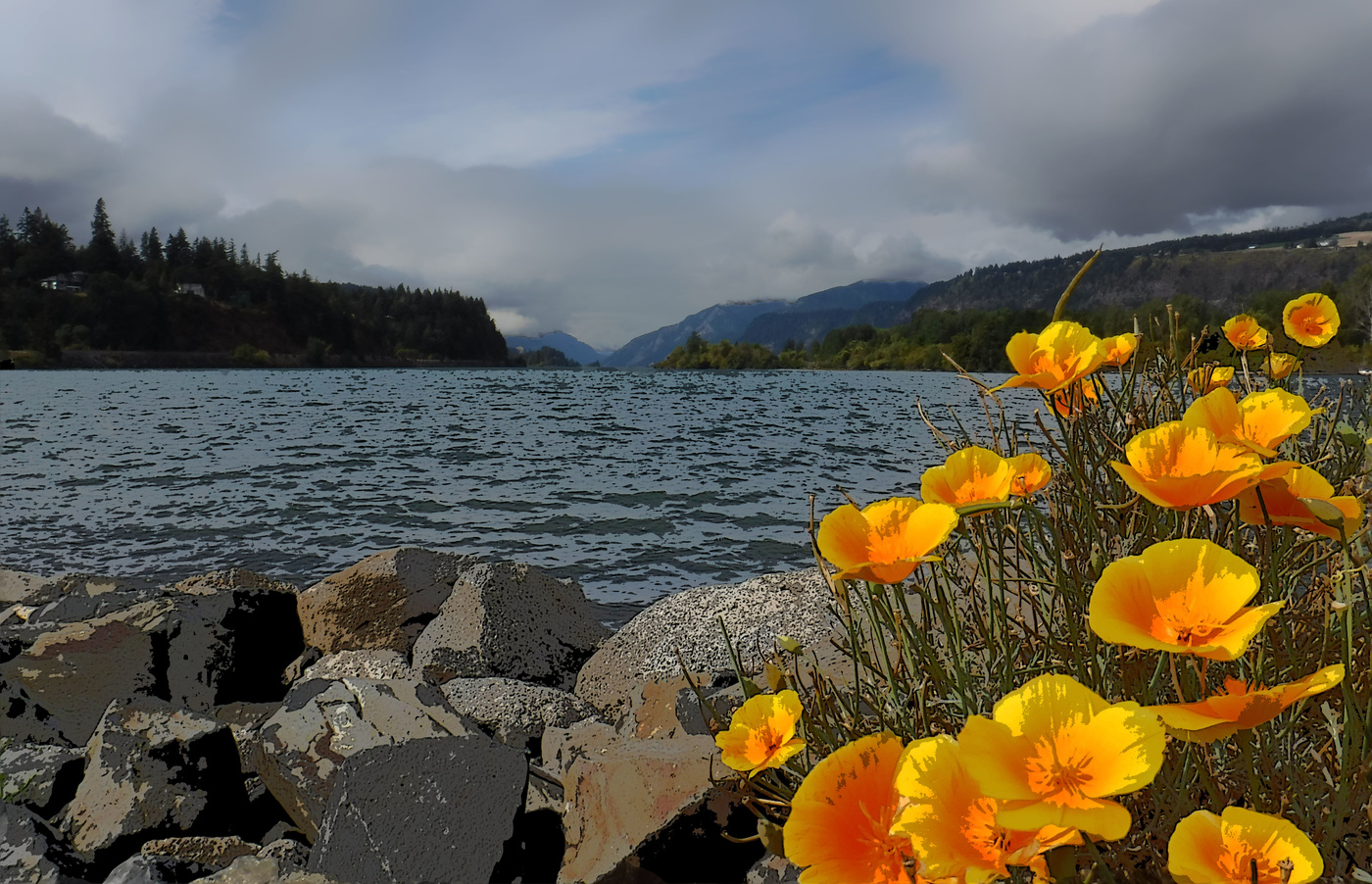 Цветовой взрыв