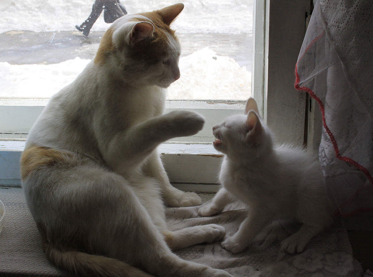 Воспитание