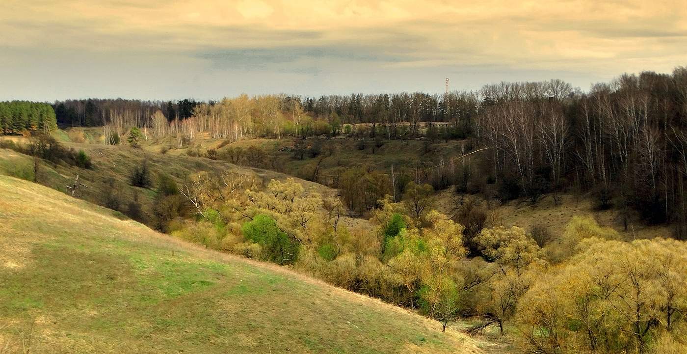 Природа оживает