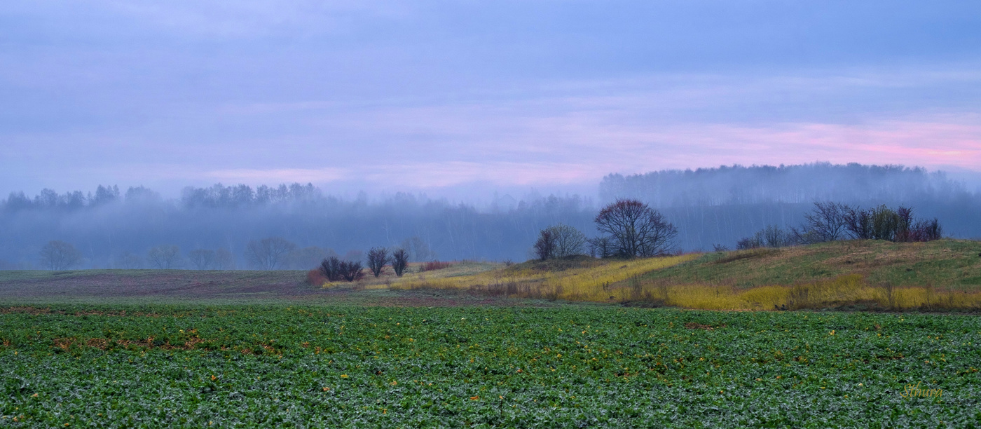 Утро весеннее.