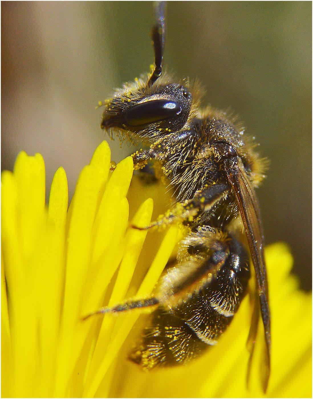 Готовность к взлету.