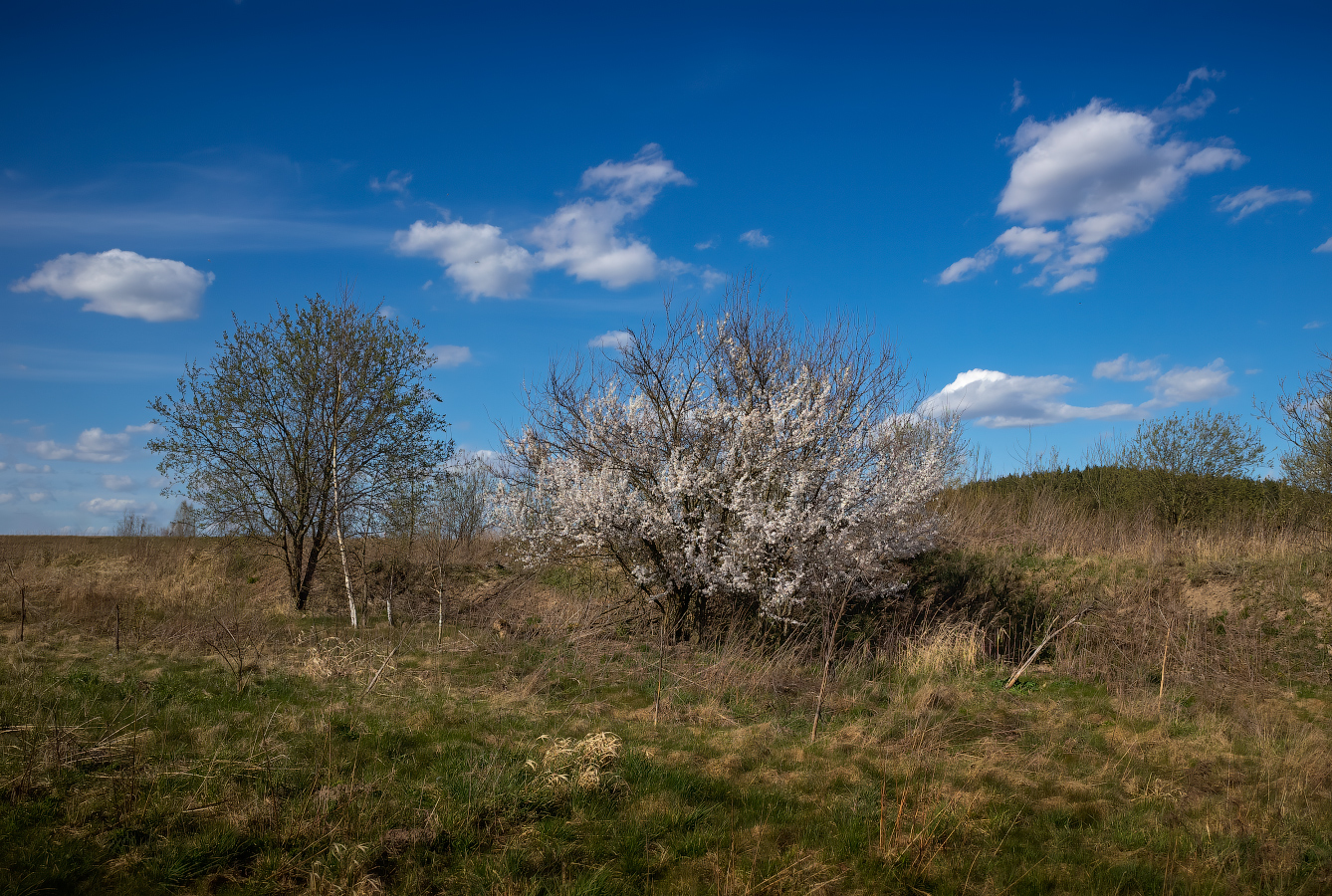 Вот такой Апрель