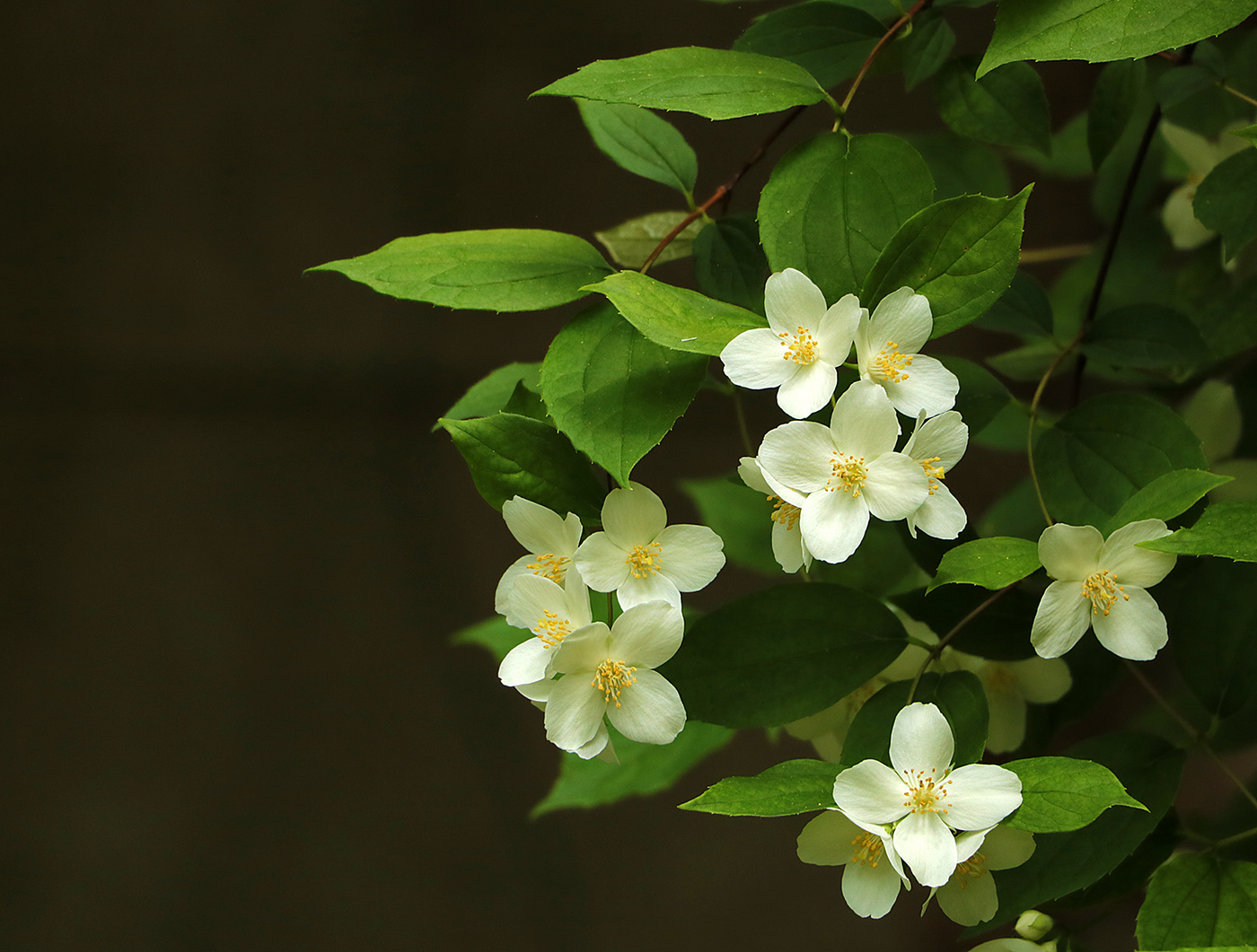 Апрельский этюд