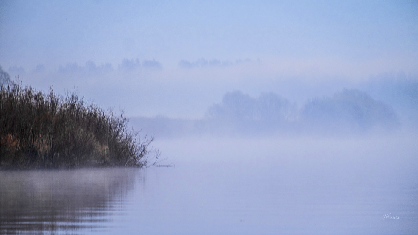 "Ёжик на водопое"