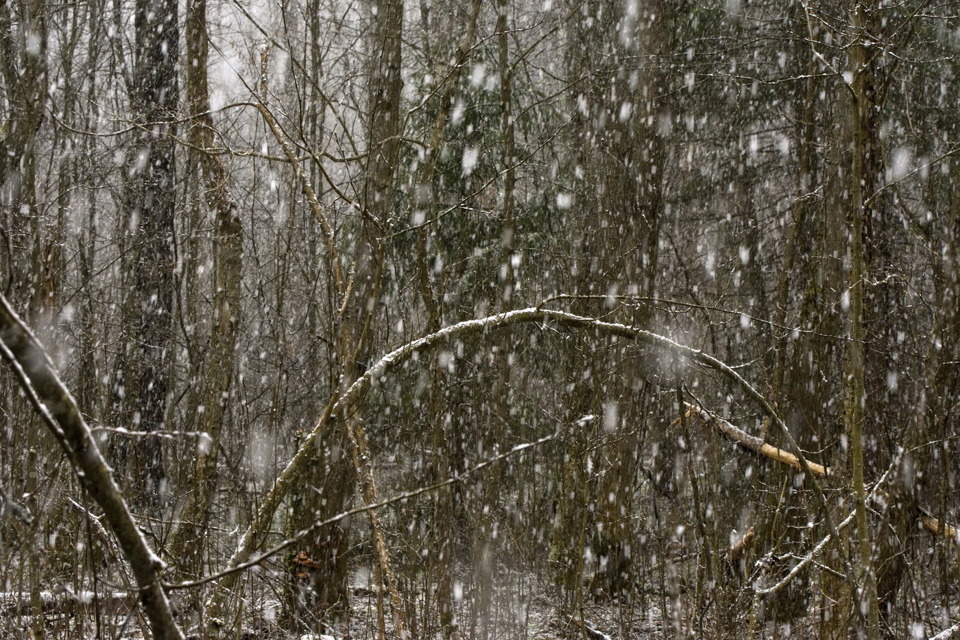 Апрельский день.