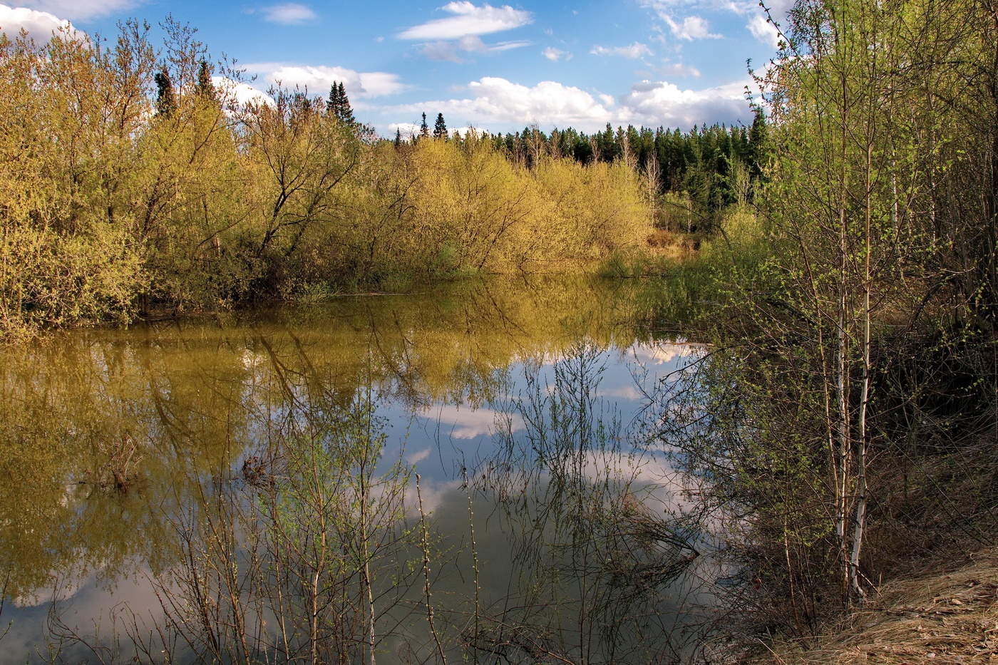 Первая зелень.