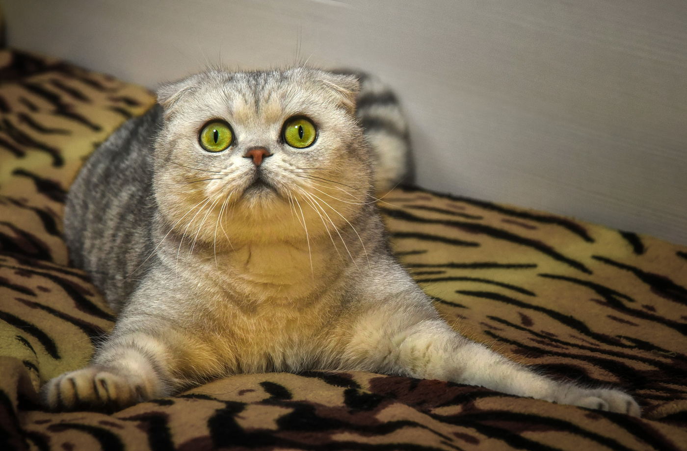 Сеанс гипноза от Каспера