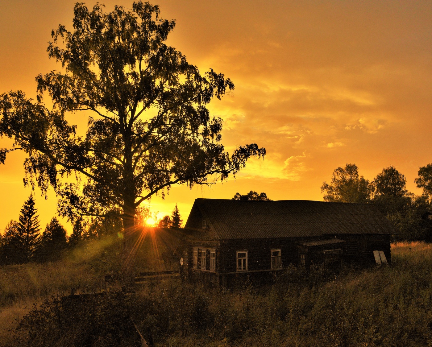 "Тишина и птицы шепчут ..."
