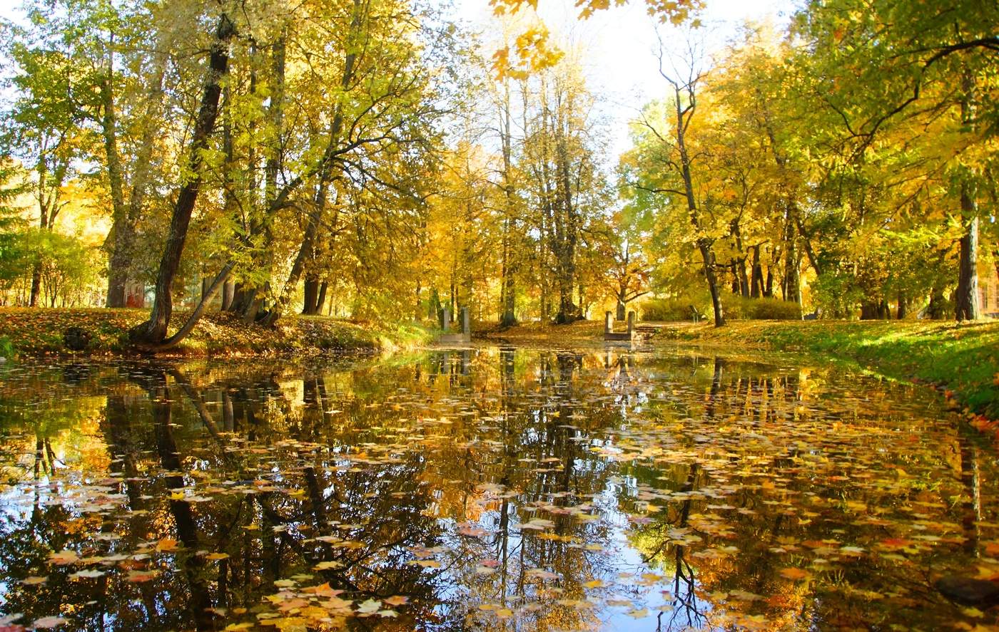 Когда-то осенним утром...