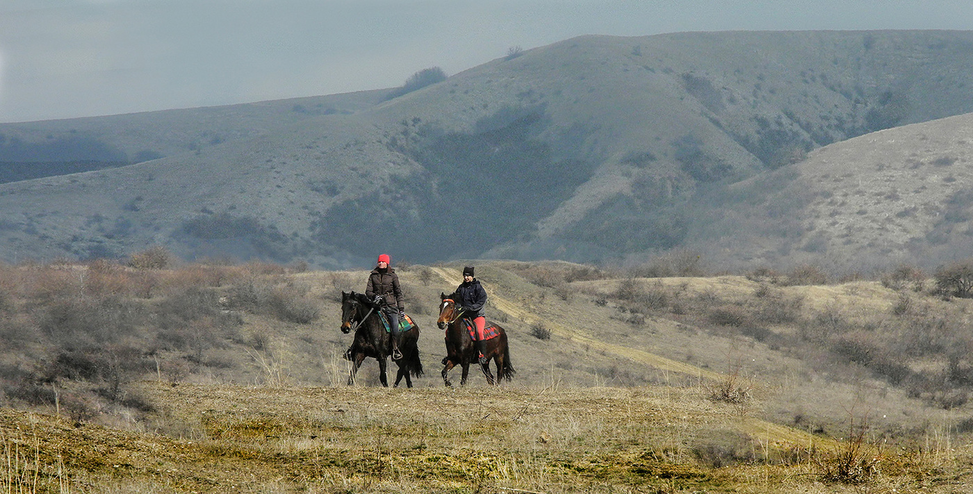 Конная пара
