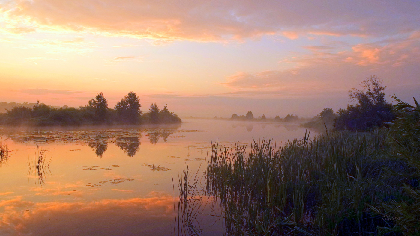 Середина лета.