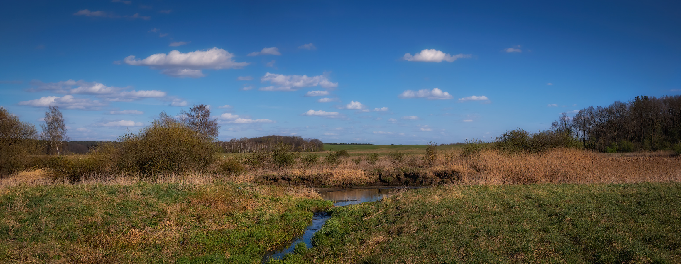 Вот такая весна
