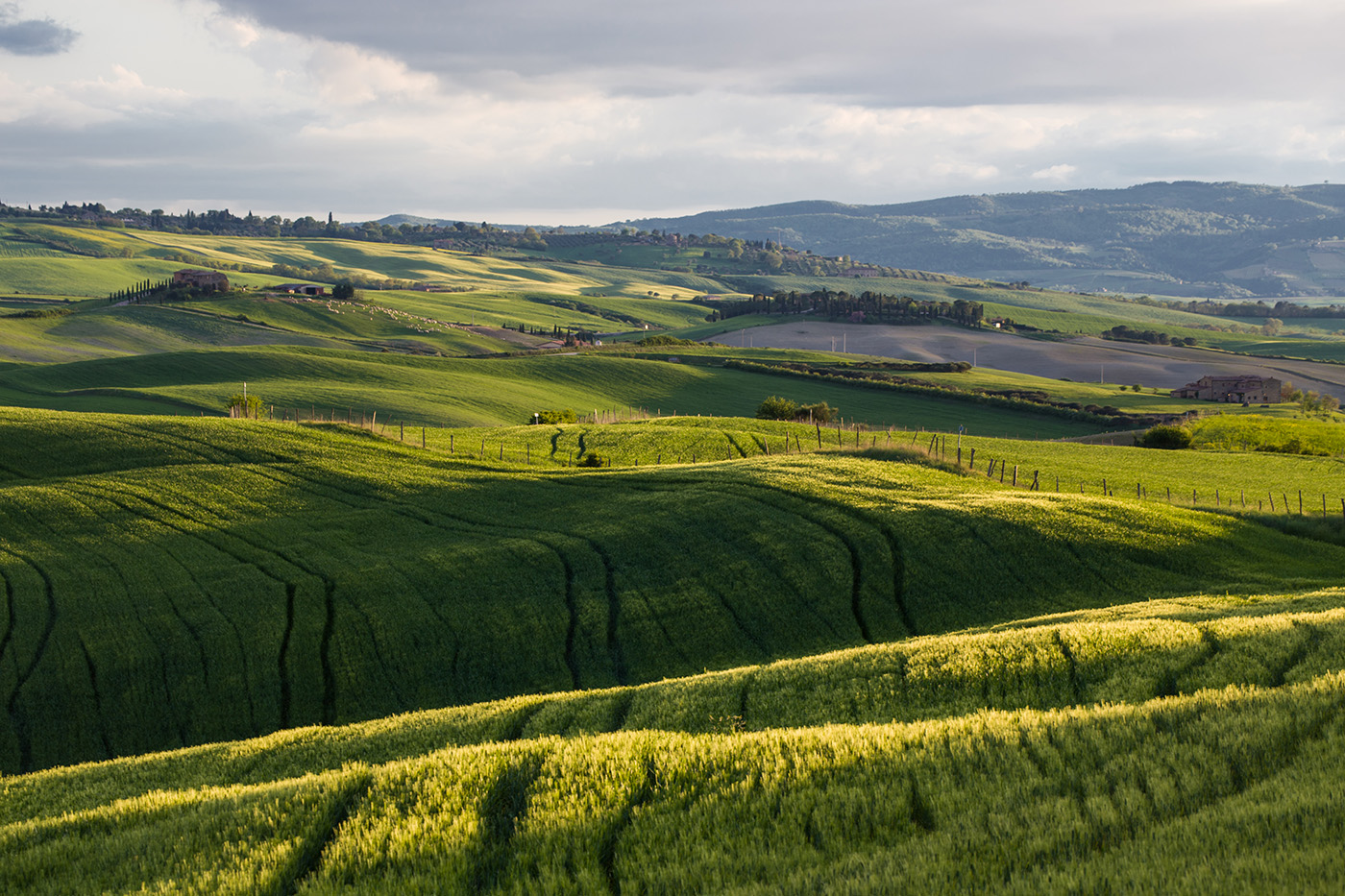 Волновой эффект