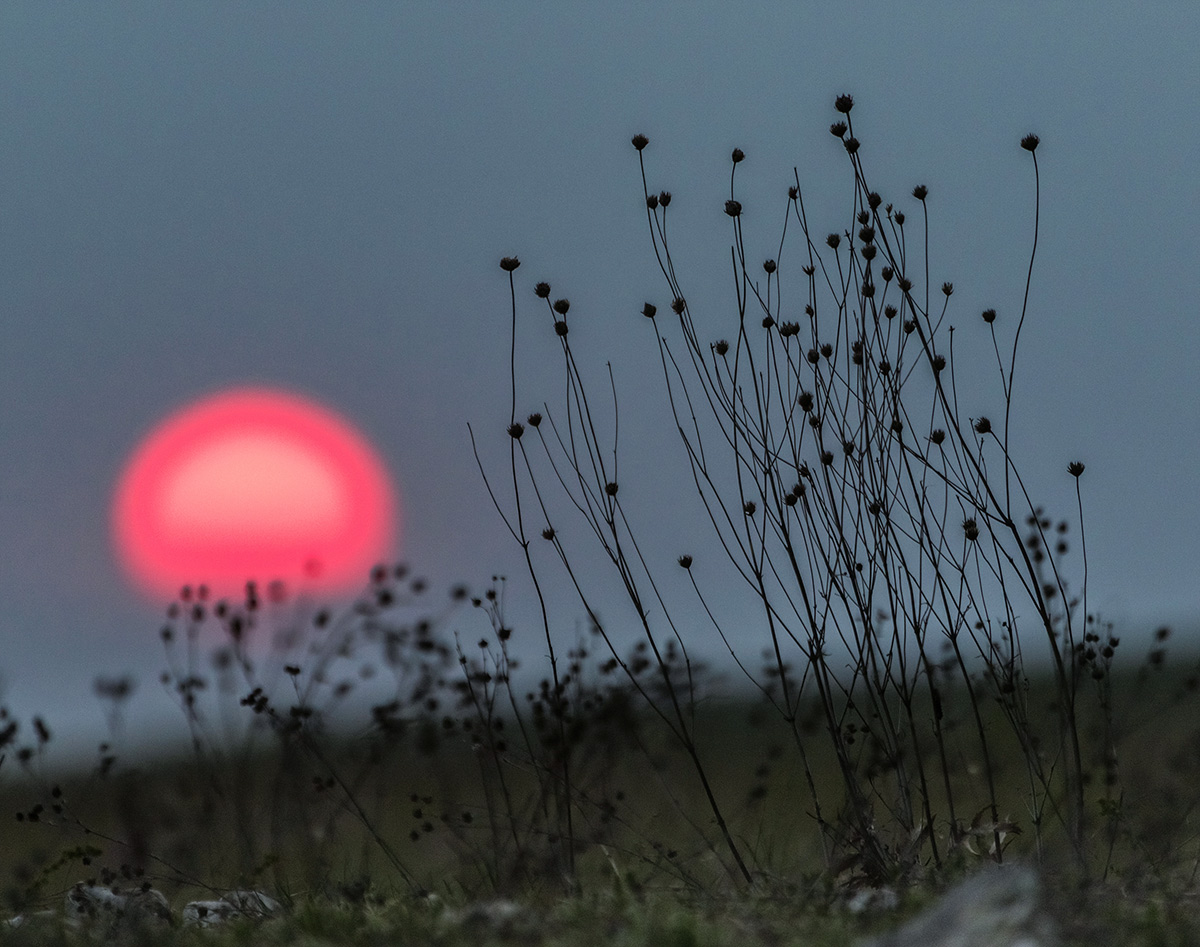 Последняя минута дня