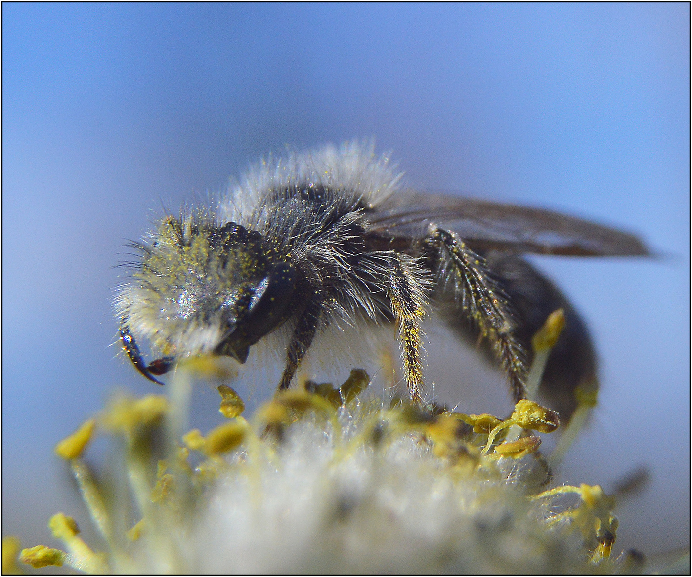 Серебряные будни апреля.