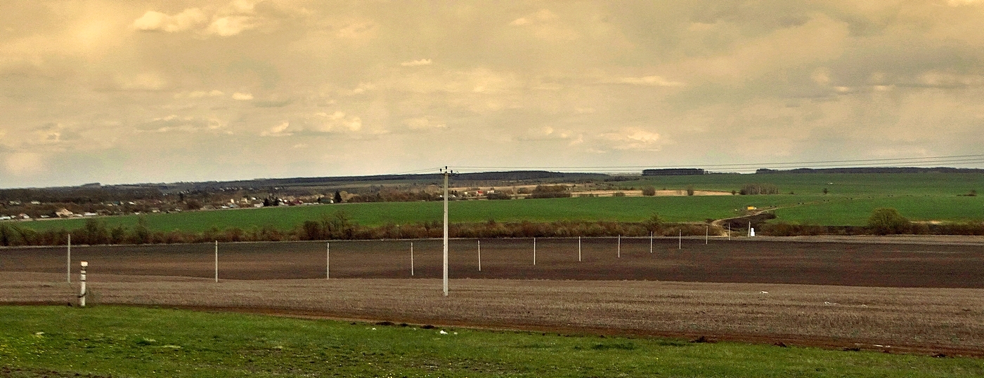 Застолбили поля