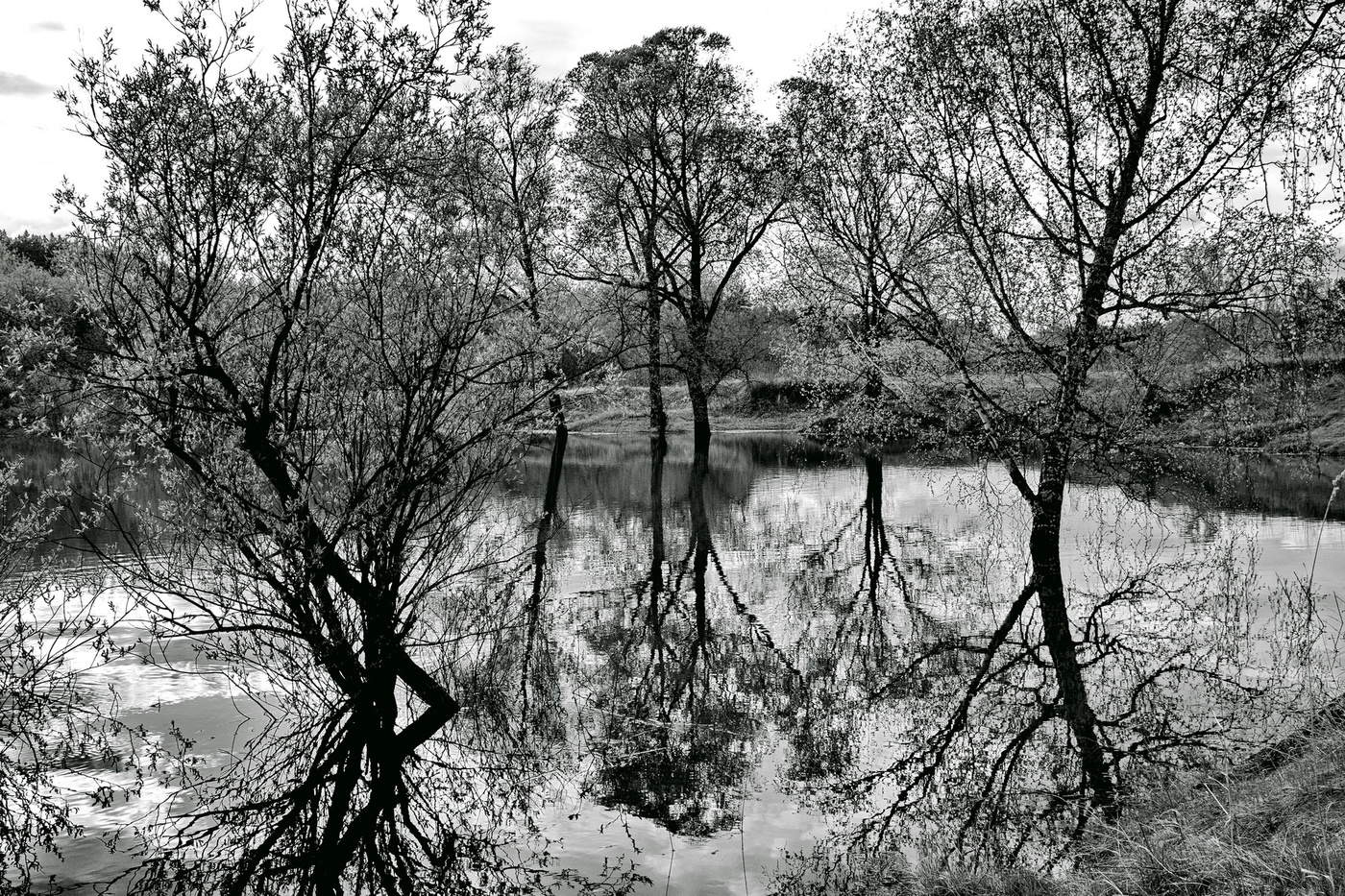 Весенний разлив.