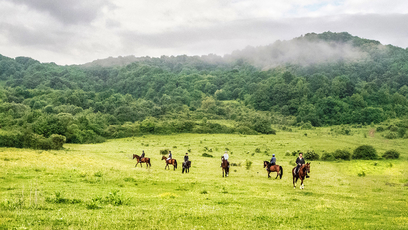 Прогулка коллективом